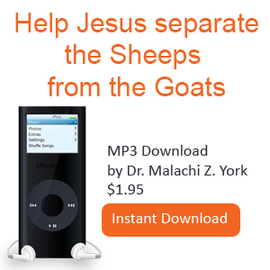 Help Jesus separate the Sheeps from the Goats