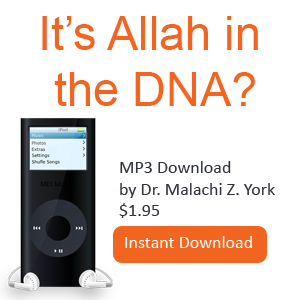 It's Allah in the DNA?