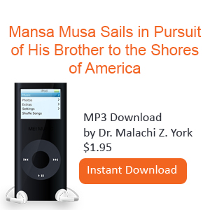 Mansa Musa Sails in Pursuit of His Brother to the Shores of America