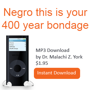 Negro this is your 400 year bondage