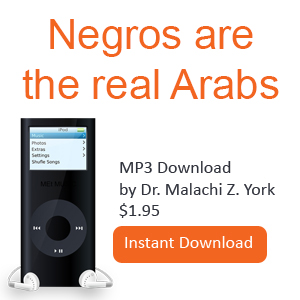 Negros are the real Arabs