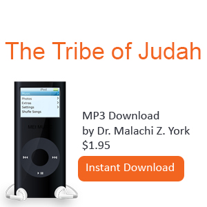 The Tribe of Judah