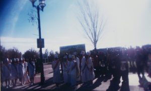 Parade-in-Macon-GA15